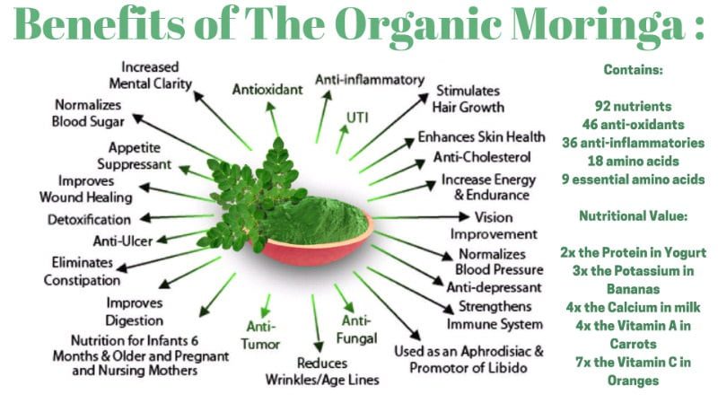16 Scientific Health Benefits of Moringa Oleifera 3 Moringa benefits