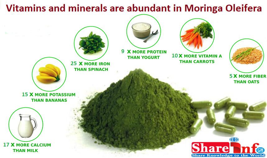 16 Scientific Health Benefits of Moringa Oleifera 2 vitamins and minerals in moringa