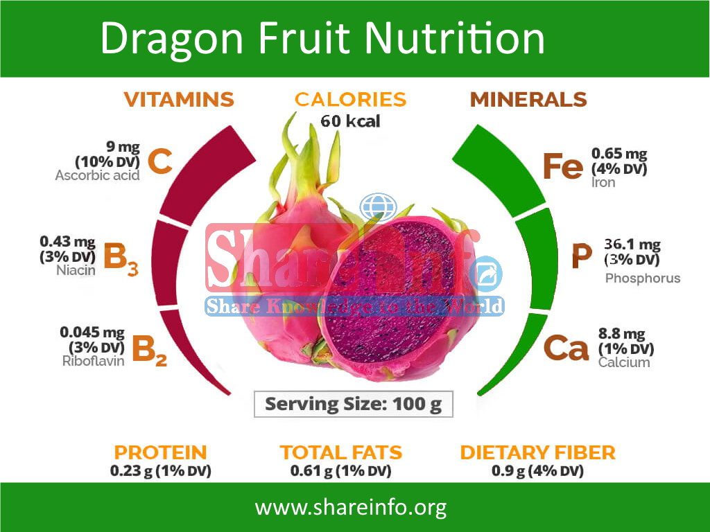 10 Incredible Health Benefits of Dragon Fruits and Nutrition Facts 2 Dragon Fruit Nutrition