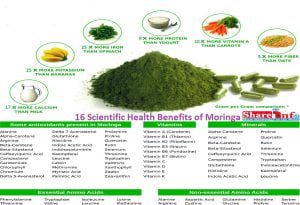 16 Scientific Health Benefits of Moringa Oleifera